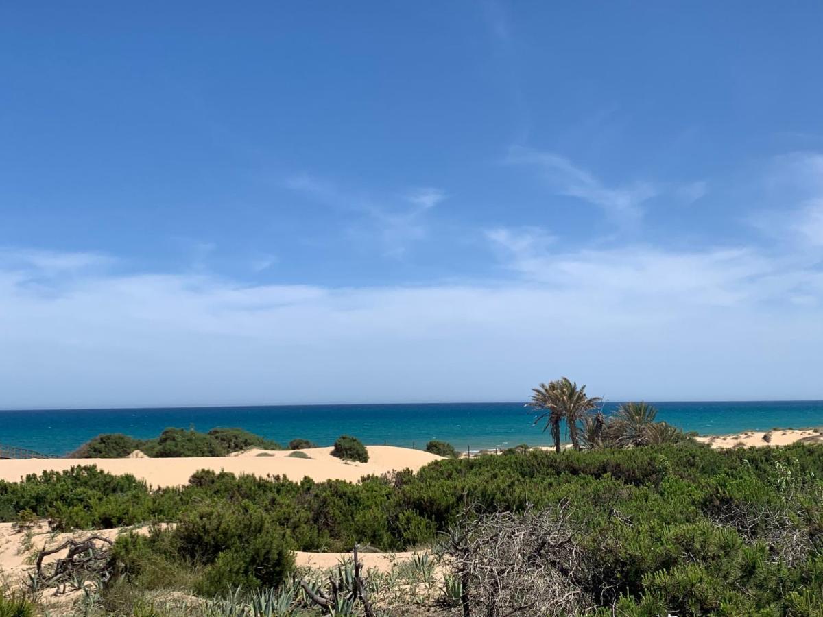 Guardamar Del Segura Sm- Spiaggia Moncayo - Piscina El Moncayo Dış mekan fotoğraf